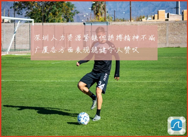 深圳人力资源紧缺但拼搏精神不减广厦各方面表现稳健令人赞叹