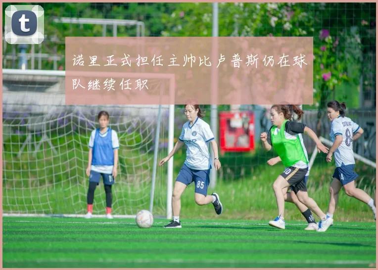 诺里正式担任主帅比卢普斯仍在球队继续任职