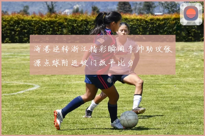 海港逆转浙江精彩瞬间李帅助攻张源点球附近破门扳平比分
